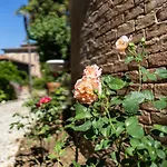 Bonelli * Siena