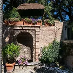Bonelli * Siena