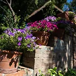 Bonelli