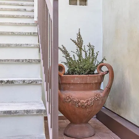 Bonelli Apartmán *