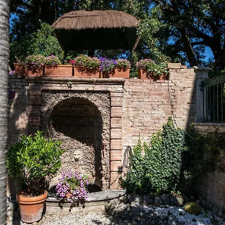 Bonelli * Siena