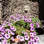 公寓 Bonelli 锡耶纳