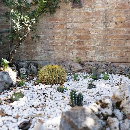 Apartmán Bonelli *