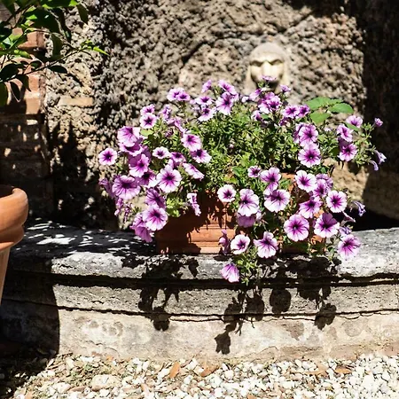 Apartmán Bonelli Siena