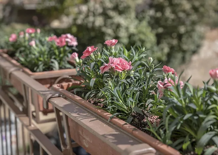 Bonelli 아파트 시에나