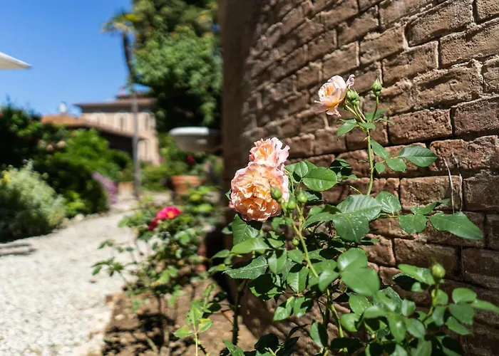 Bonelli * シエーナ