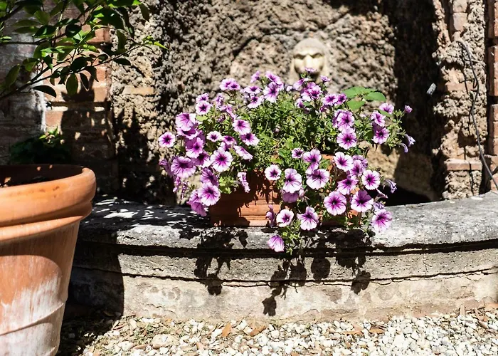 아파트 Bonelli 시에나