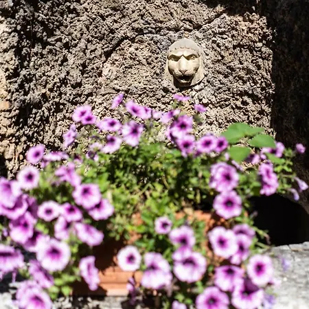 Apartment Bonelli Siena